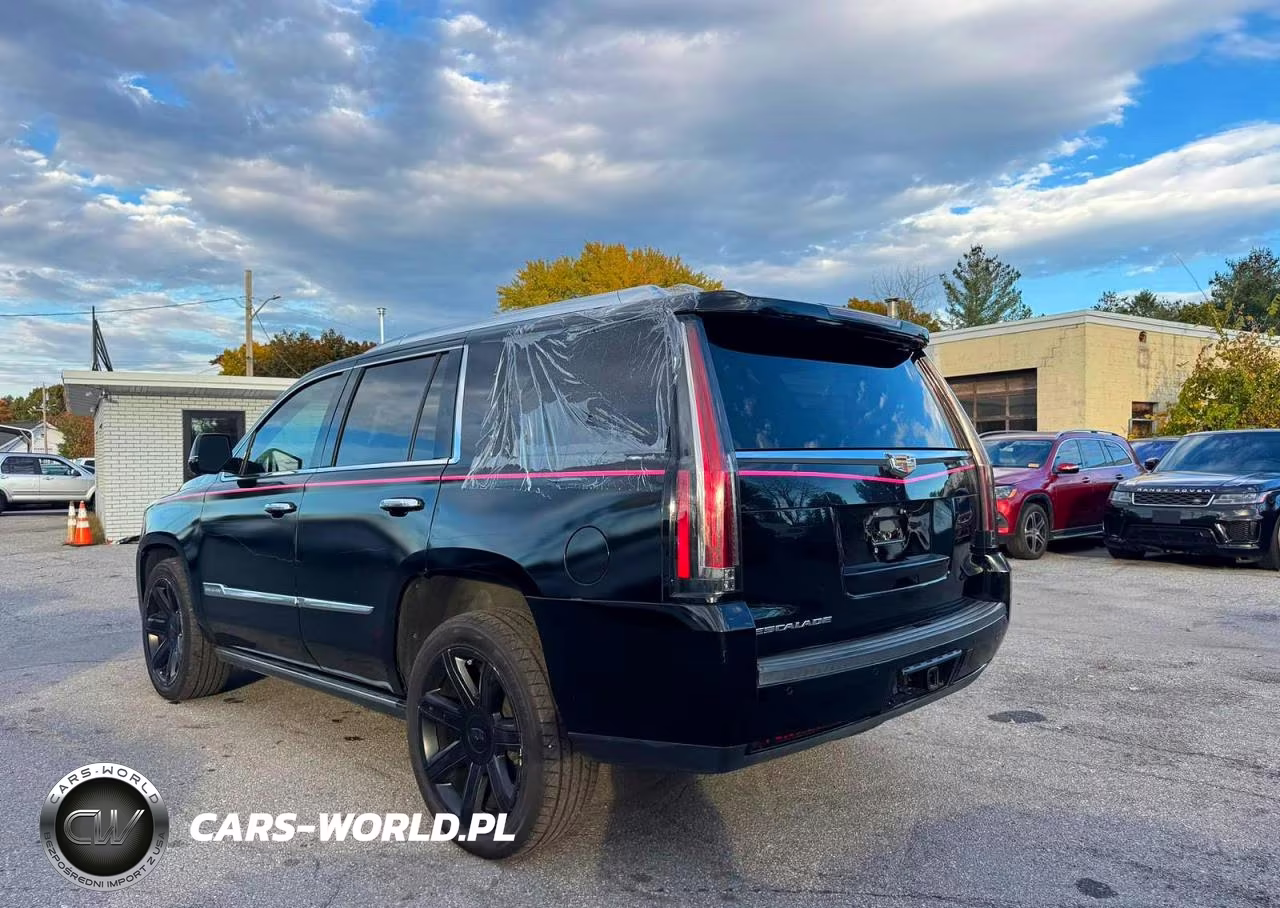 2016 Cadillac Escalade Premium VIN:1GYS4CKJ6GR338510 - 3