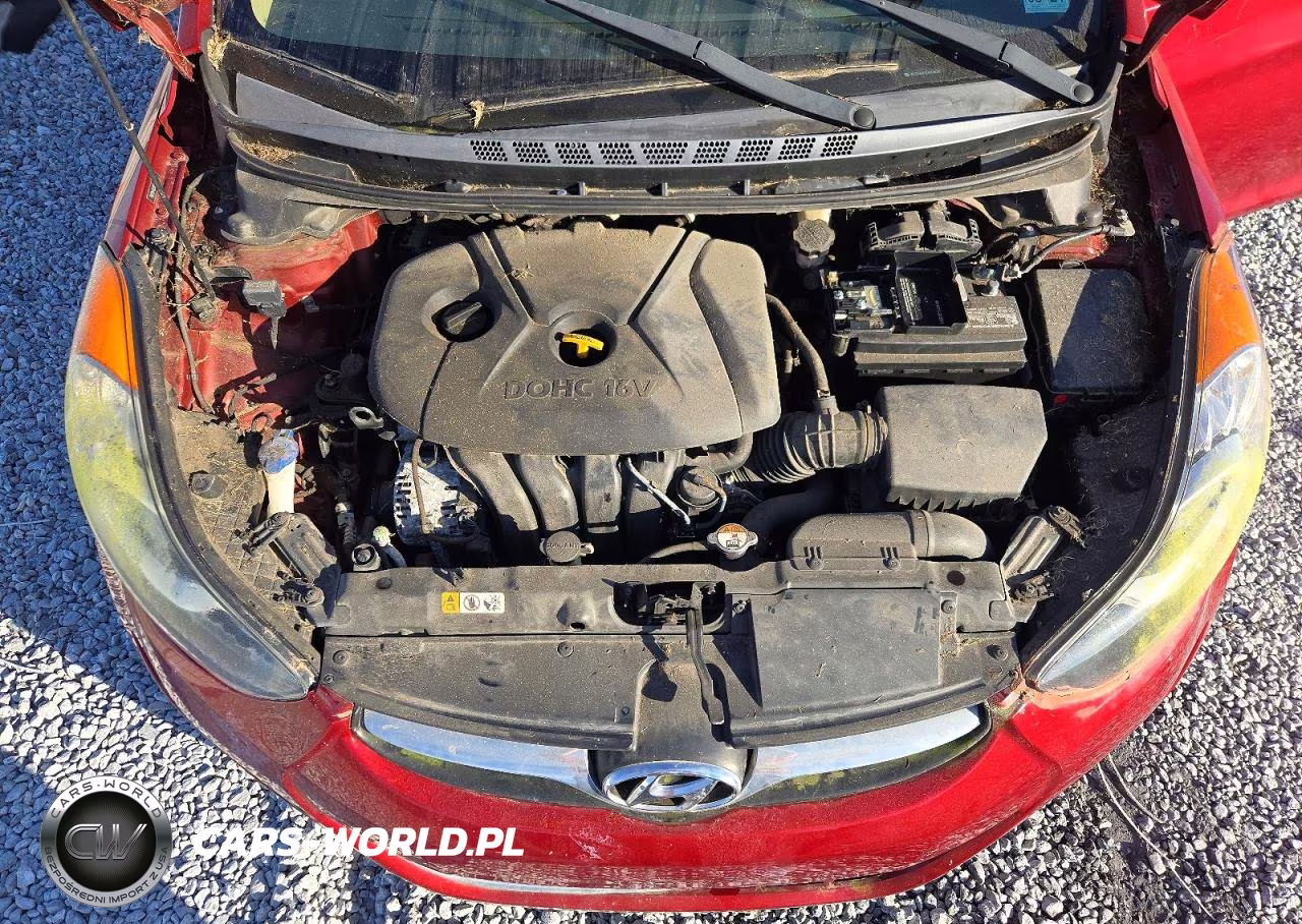 2013 Hyundai Elantra Gls VIN:5NPDH4AE6DH438266 - 11