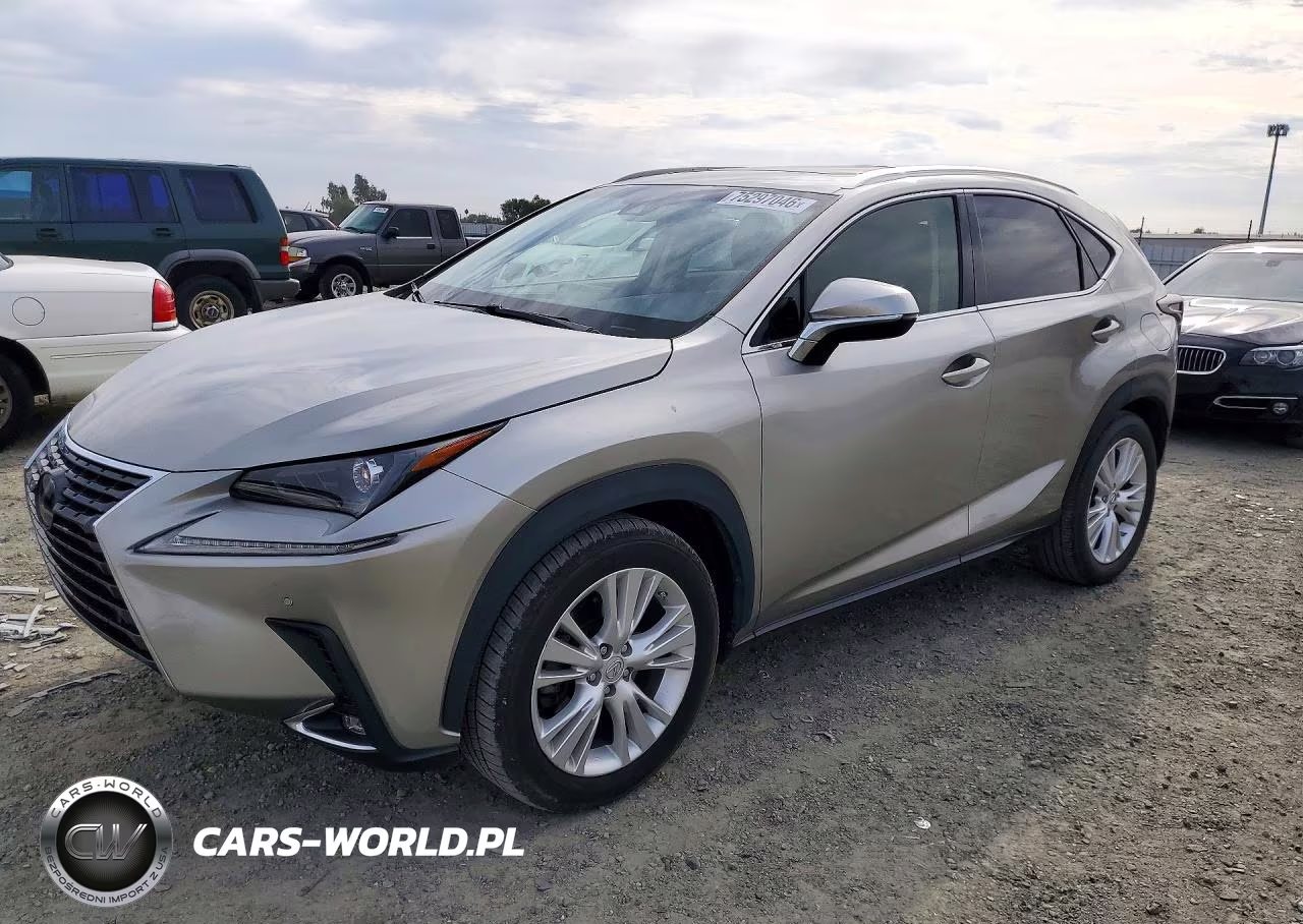 2018 Lexus Nx 300H VIN:JTJBJRBZ3J2095114 - 1