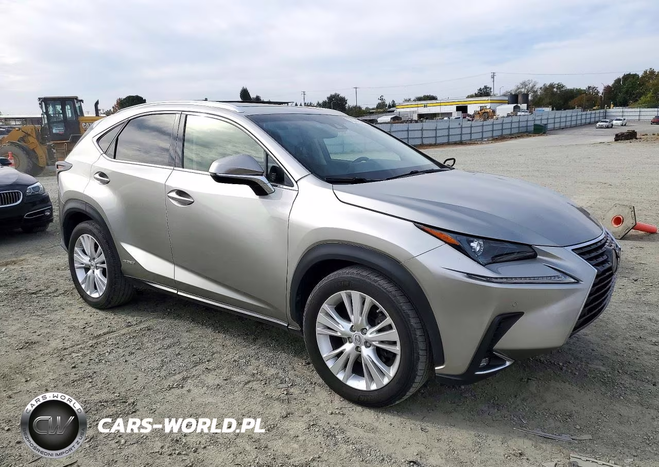 2018 Lexus Nx 300H VIN:JTJBJRBZ3J2095114 - 4