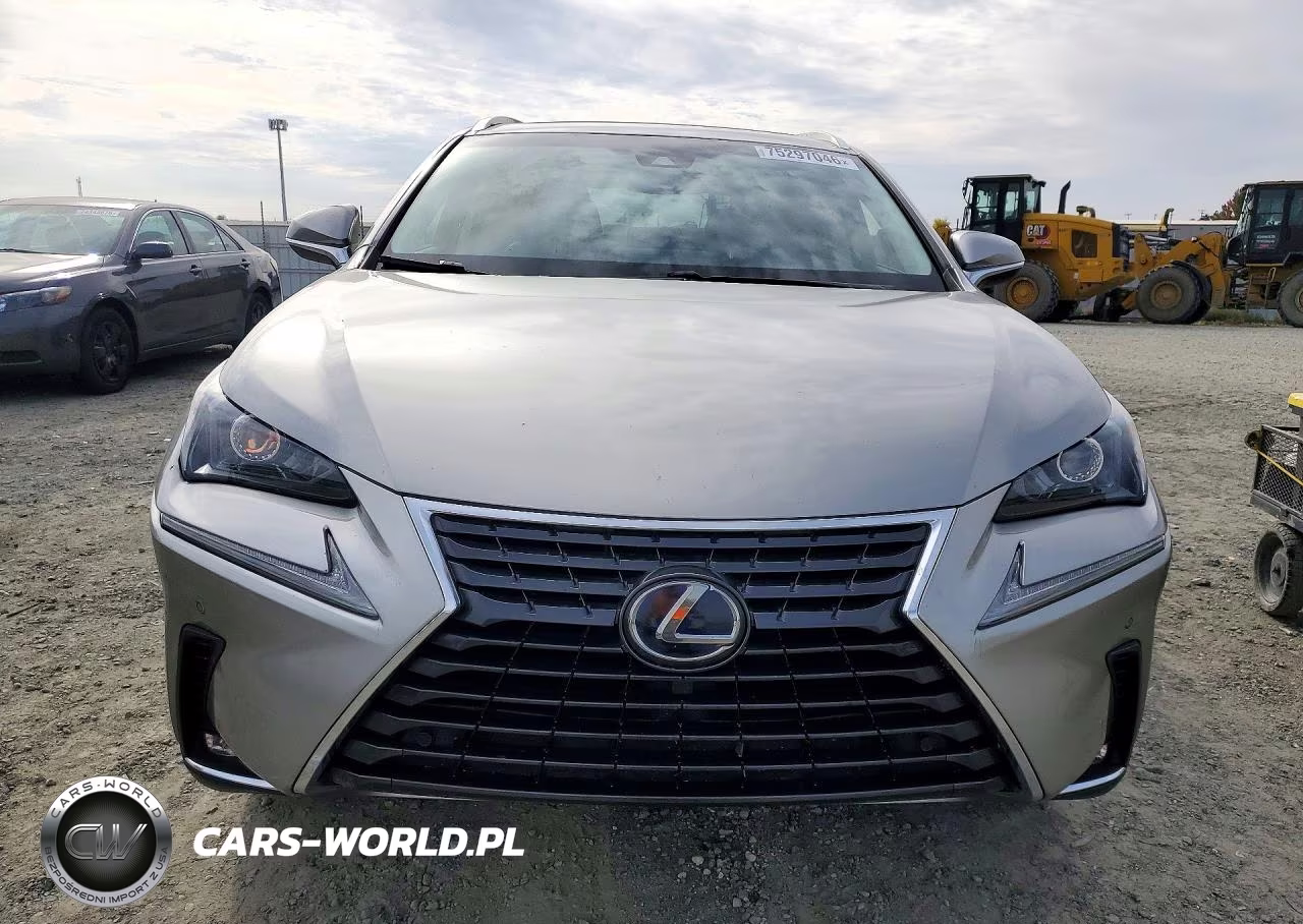 2018 Lexus Nx 300H VIN:JTJBJRBZ3J2095114 - 5