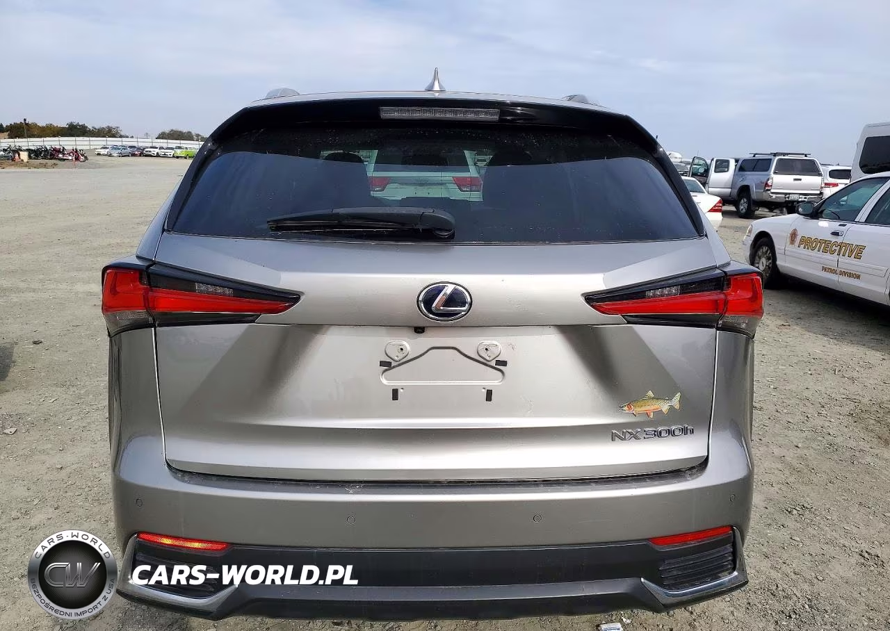 2018 Lexus Nx 300H VIN:JTJBJRBZ3J2095114 - 6