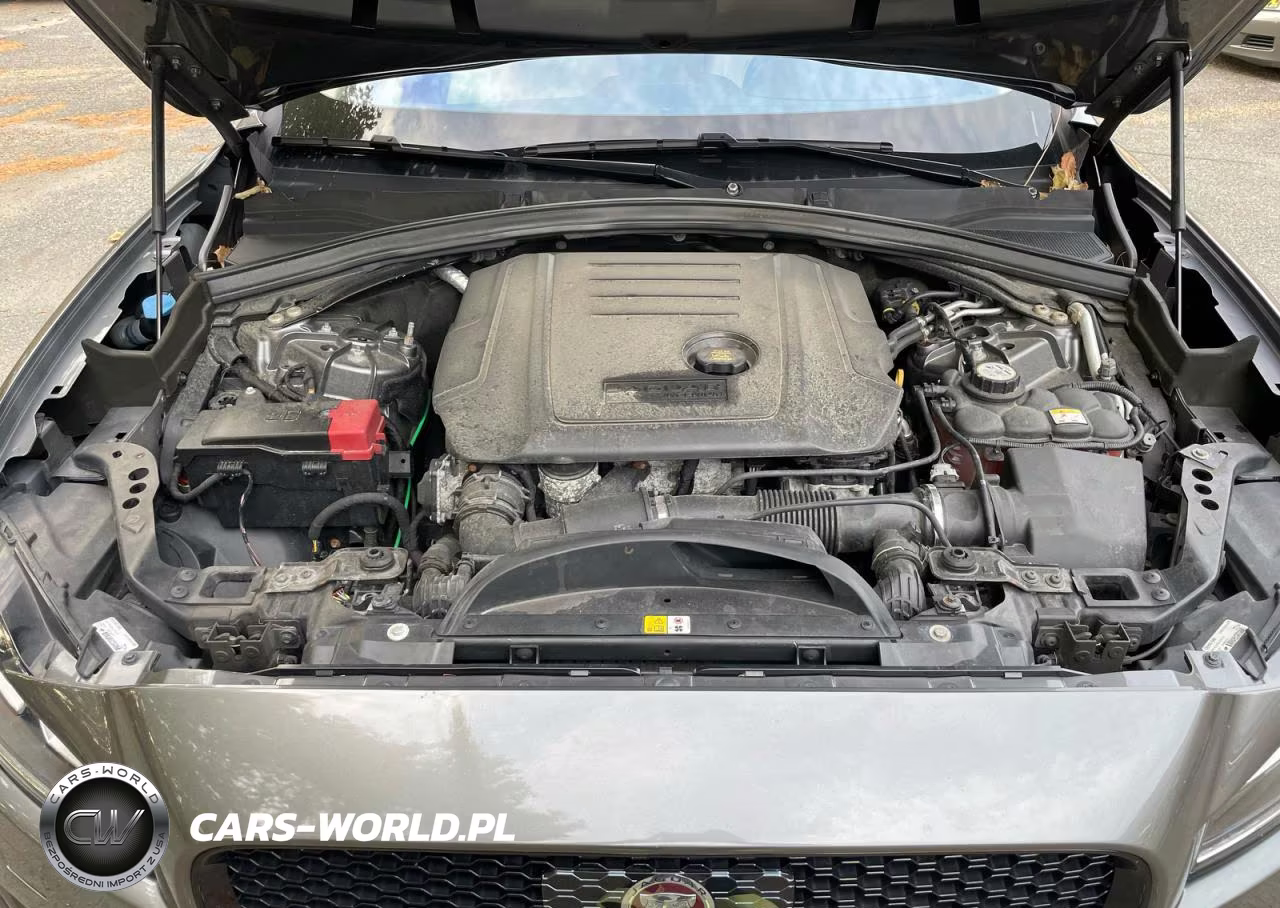 2019 Jaguar F-Pace Prestige VIN:SADCK2FN5KA362025 - 7