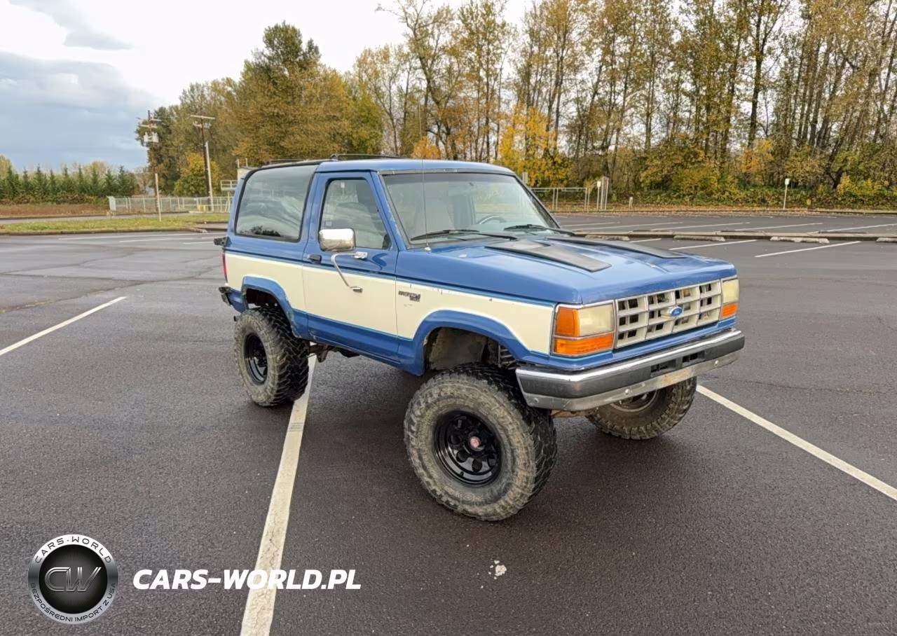 1989 Ford Bronco Ii VIN:1FMCU14T0KUB23039 - 1
