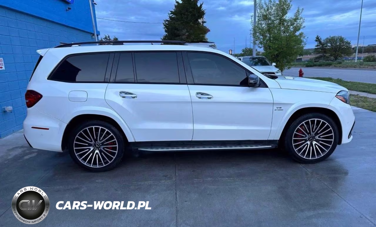 MERCEDES-BENZ GLS 63 AMG VIN:4JGDF7FE9KB210322 - 12
