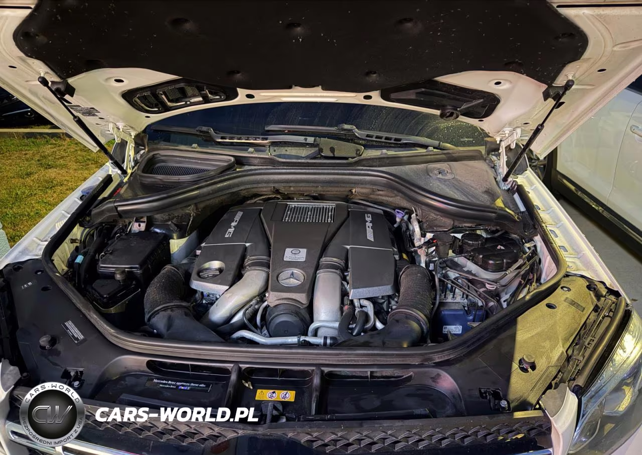 MERCEDES-BENZ GLS 63 AMG VIN:4JGDF7FE9KB210322 - 7