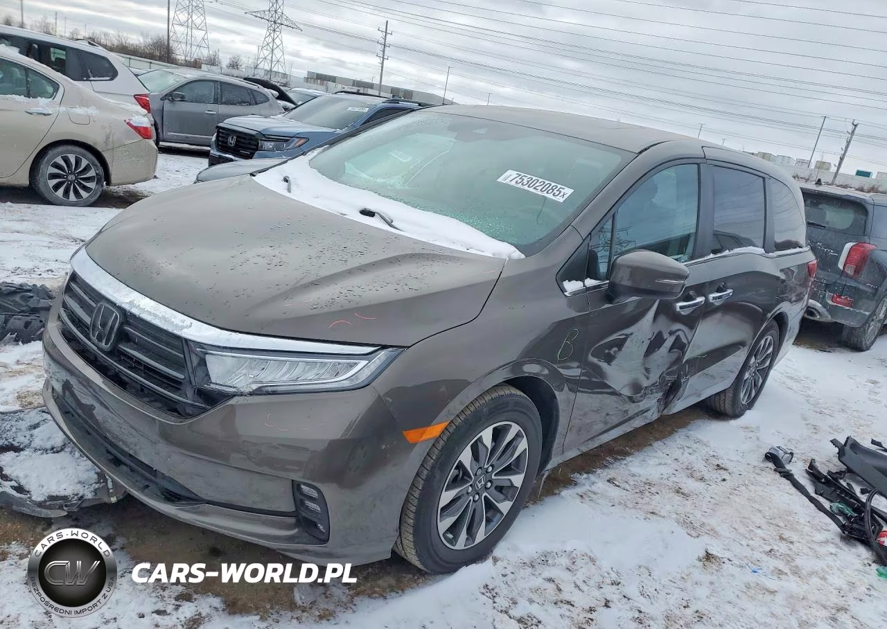 2023 Honda Odyssey Exl