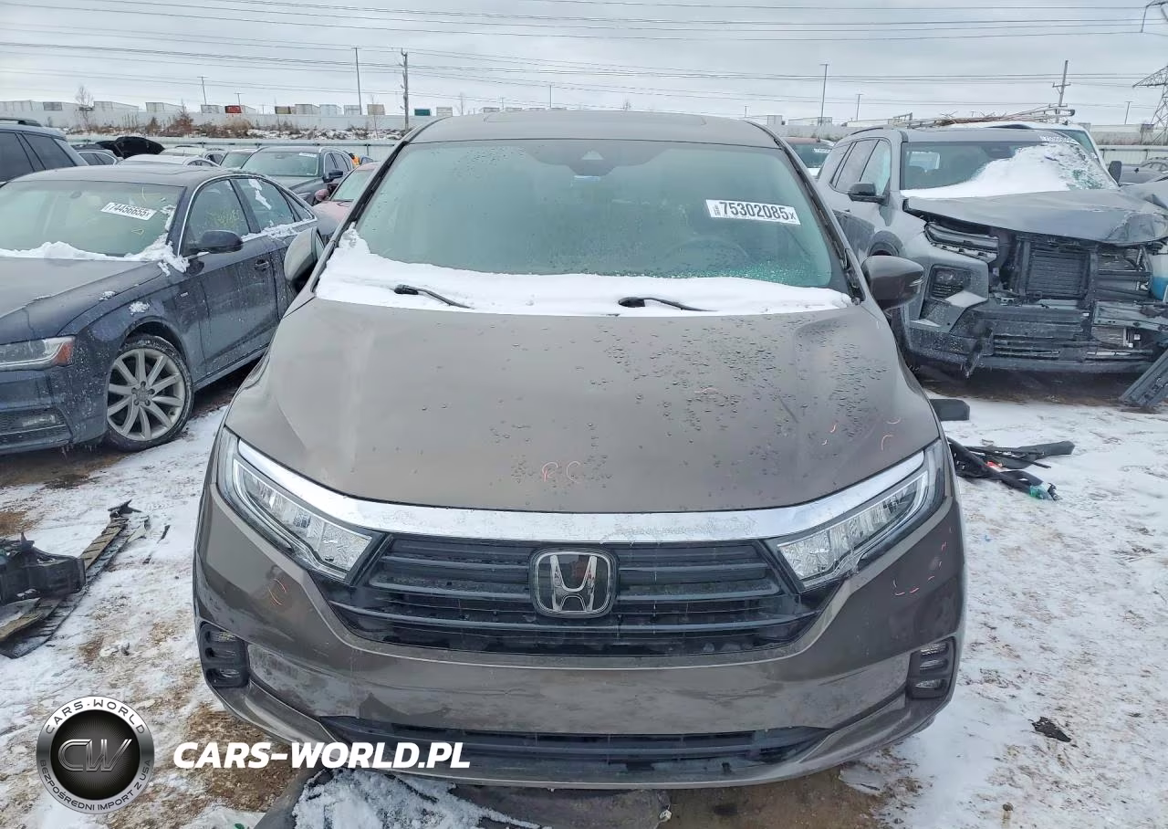 2023 Honda Odyssey Exl VIN:5FNRL6H65PB033310 - 5