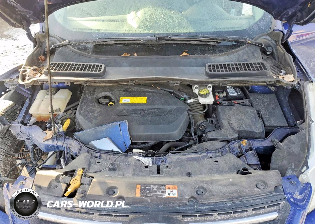 2015 Ford Escape Se VIN:1FMCU0GX3FUC78828 - 12