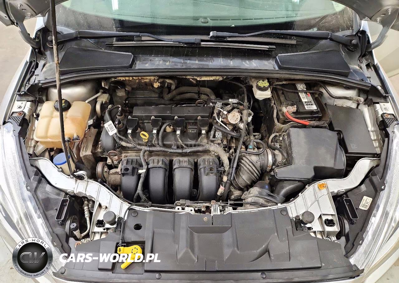 2018 Ford Focus Titanium VIN:1FADP3J24JL261748 - 11