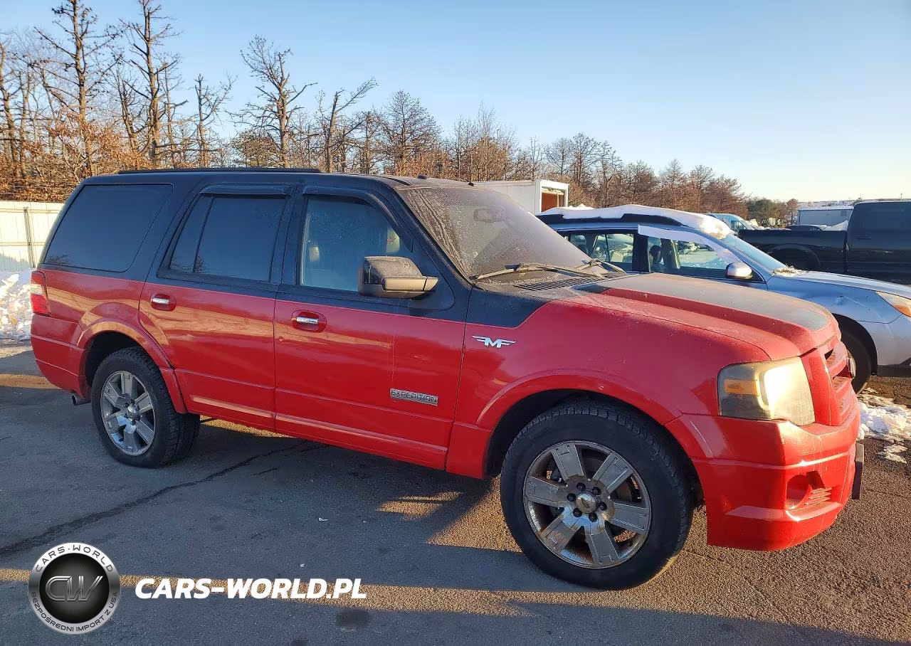2008 Ford Expedition Limited VIN:1FMFU20518LA42124 - 4