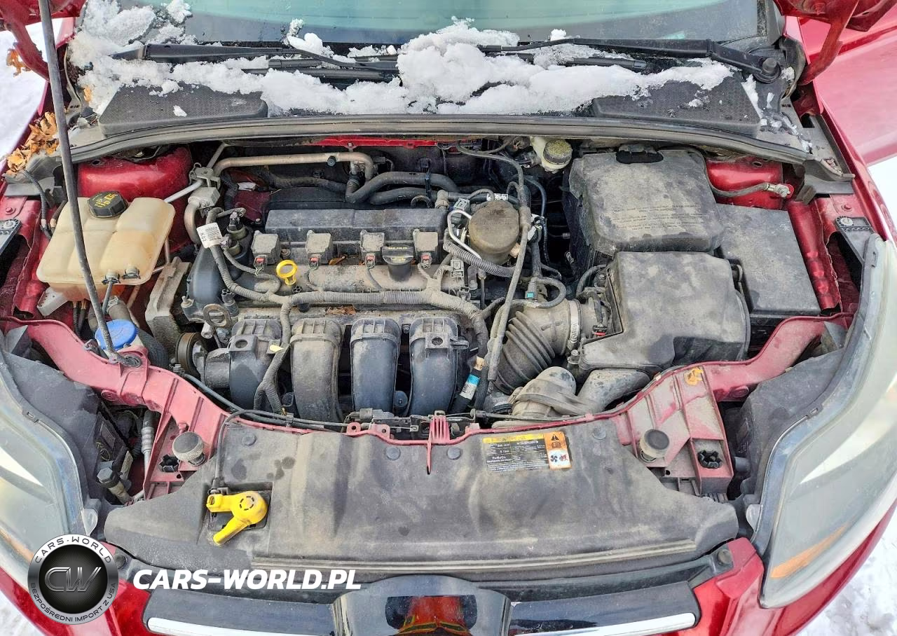 2014 Ford Focus Titanium VIN:1FADP3N27EL196880 - 11