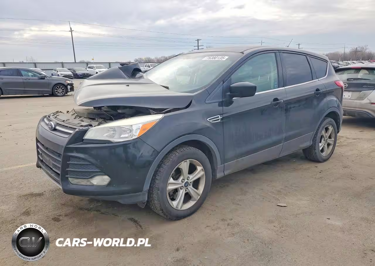 2013 Ford Escape Se