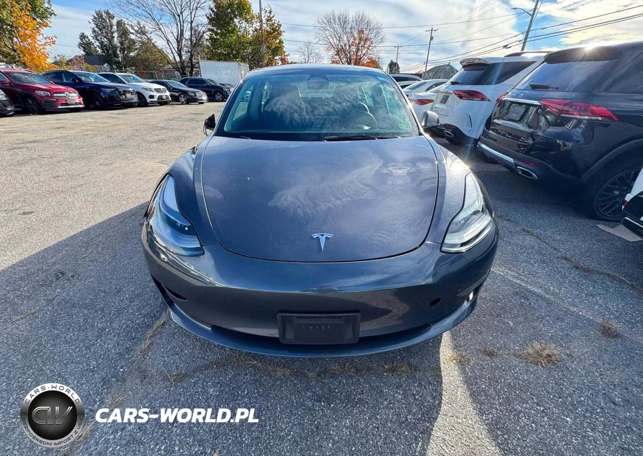 2023 Tesla Model 3 VIN:5YJ3E1EA6PF650145 - 7