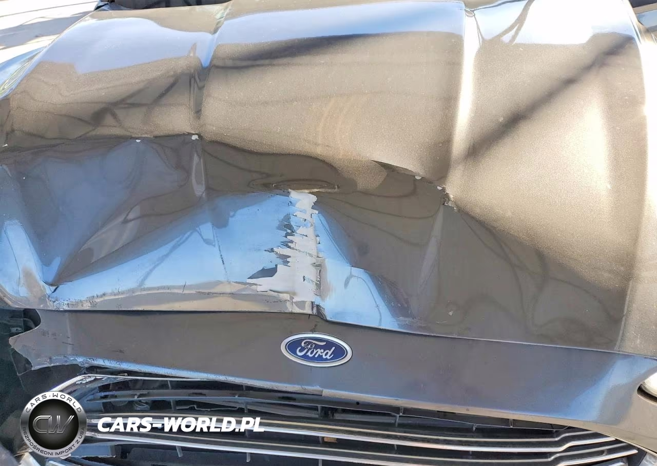 2016 Ford Fusion Se Hybrid VIN:3FA6P0LUXGR360252 - 11