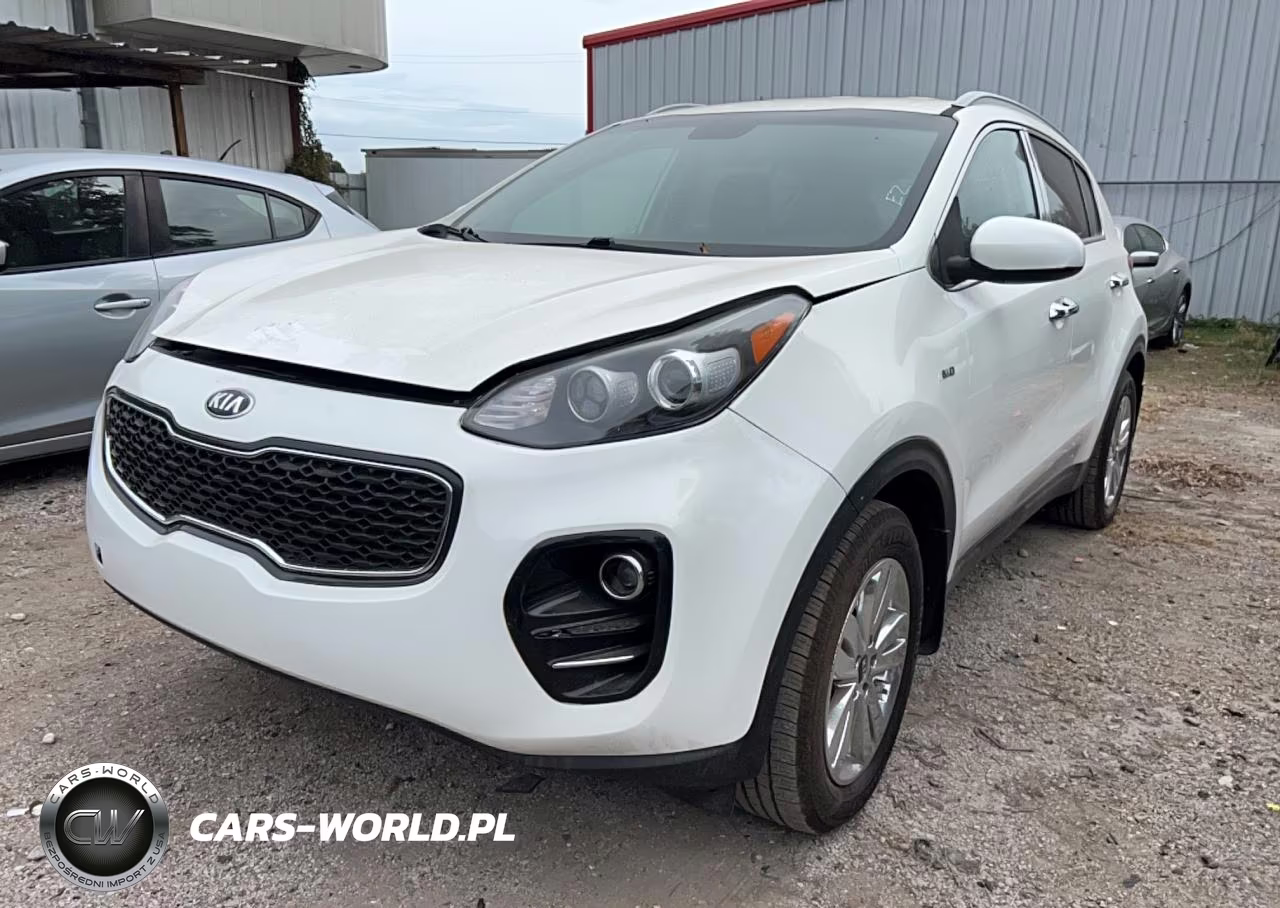 2017 Kia Sportage Lx VIN:KNDPMCAC6H7244848 - 2