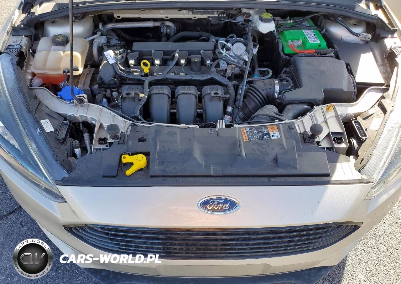 2018 Ford Focus Se VIN:1FADP3F27JL278911 - 11