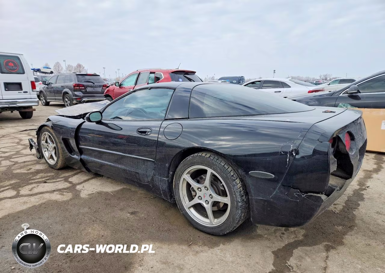 2004 Chevrolet Corvette VIN:1G1YY22G445132830 - 2
