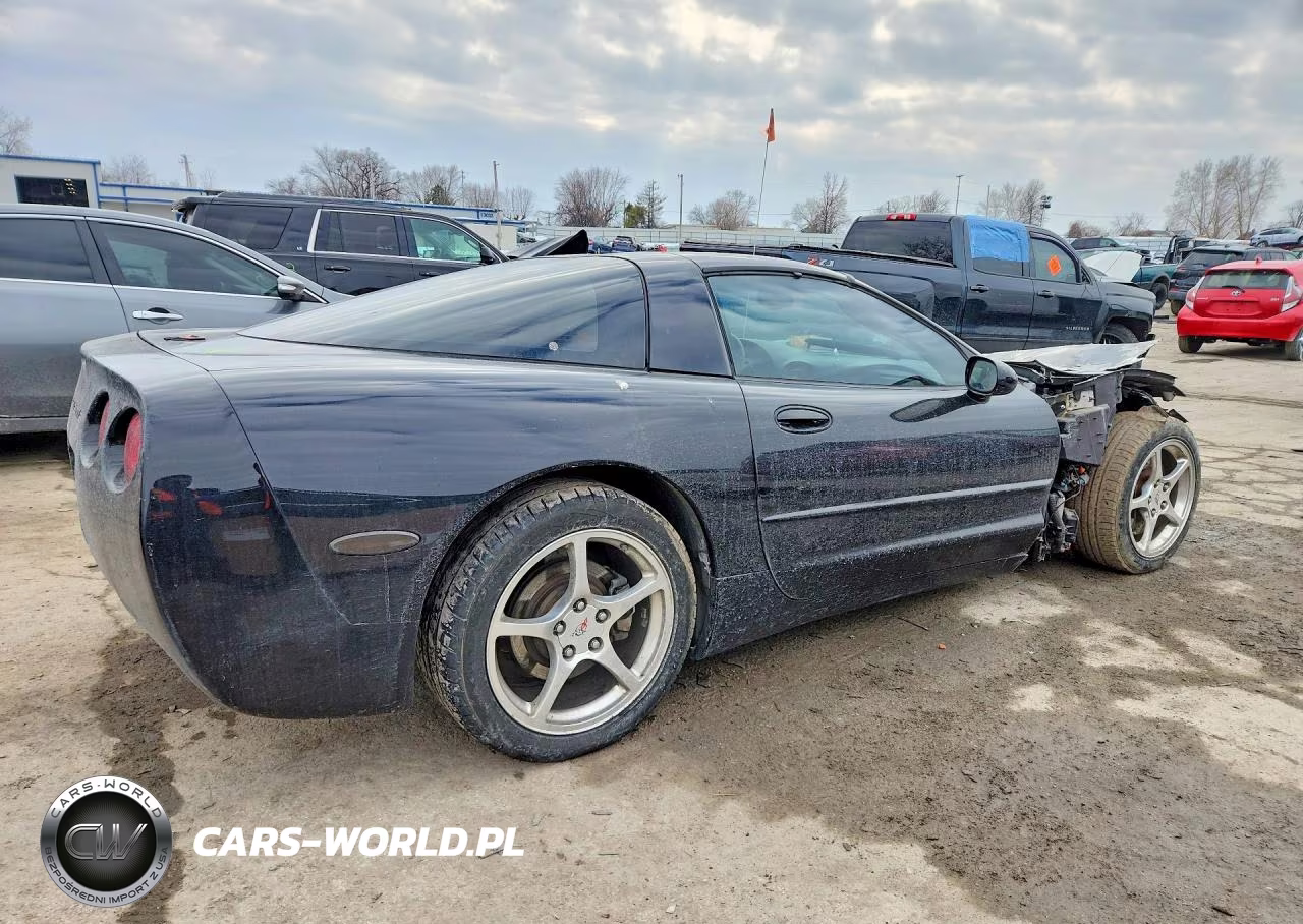 2004 Chevrolet Corvette VIN:1G1YY22G445132830 - 3