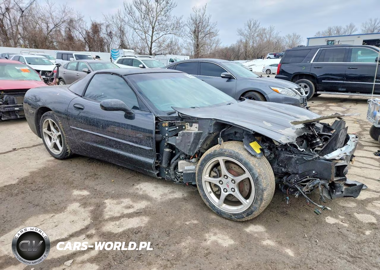 2004 Chevrolet Corvette VIN:1G1YY22G445132830 - 4