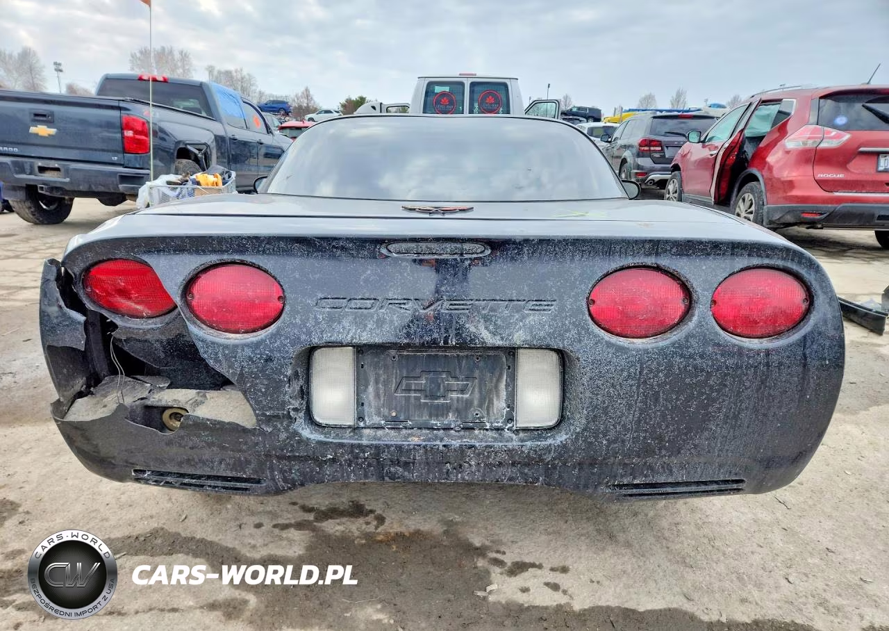 2004 Chevrolet Corvette VIN:1G1YY22G445132830 - 6