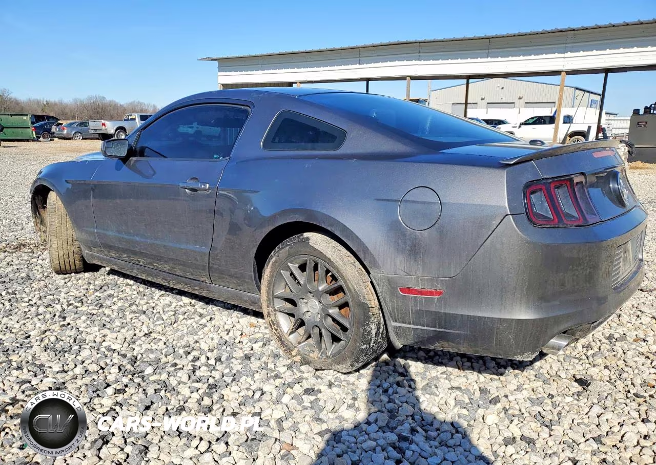 2014 Ford Mustang VIN:1ZVBP8AM4E5305819 - 2