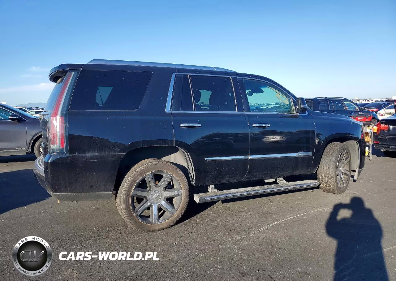 2016 Cadillac Escalade VIN:1GYS4CKJ6GR244109 - 3
