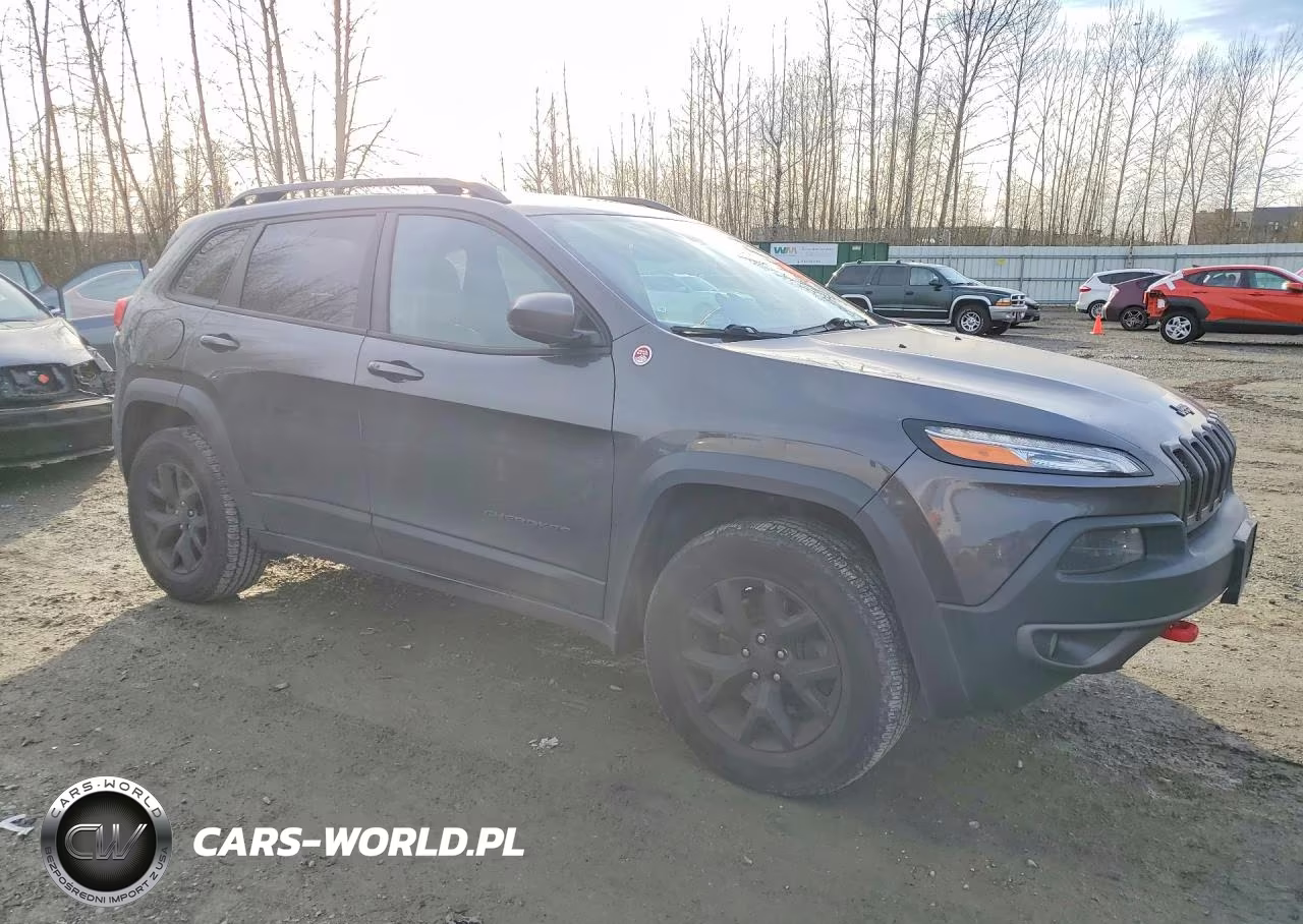 2017 Jeep Cherokee Trailhawk VIN:1C4PJMBS4HW615810 - 4