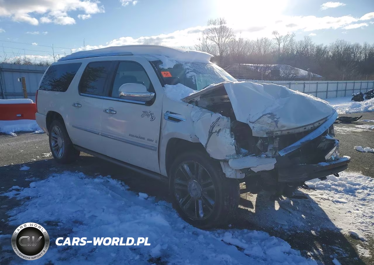 2008 Cadillac Escalade Esv VIN:1GYFK66838R146317 - 4