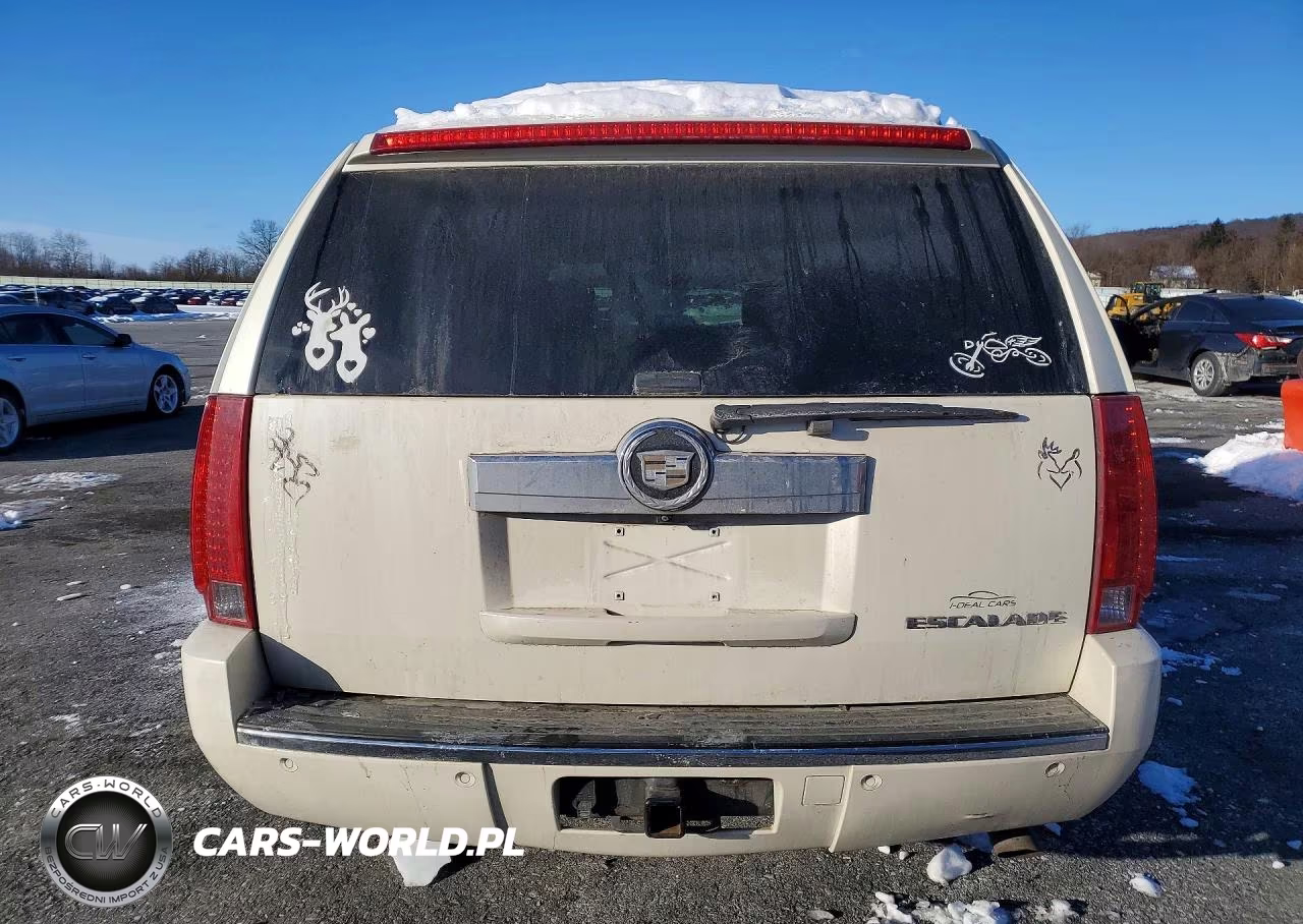 2008 Cadillac Escalade Esv VIN:1GYFK66838R146317 - 6