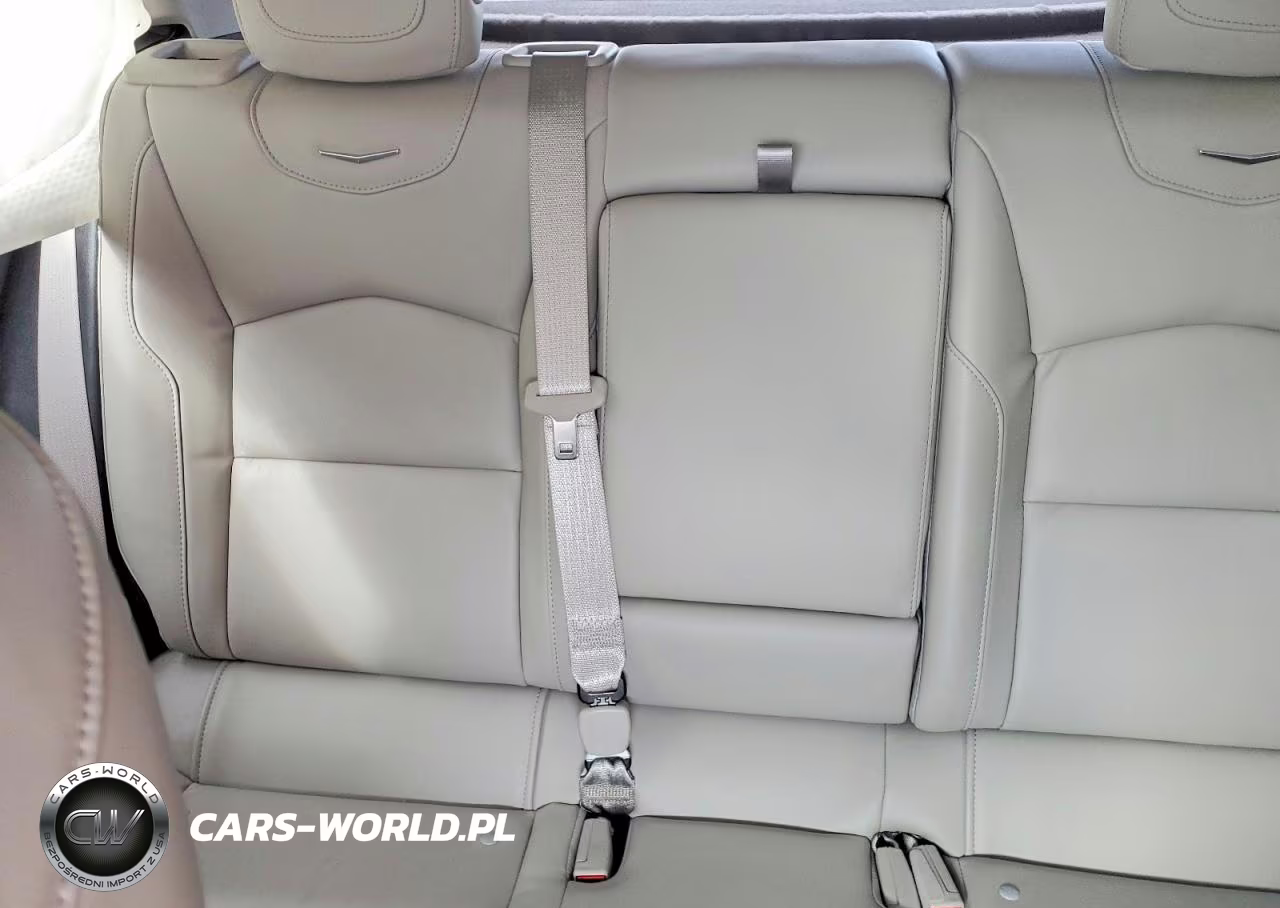 2022 Cadillac Xt4 Premium Luxury VIN:1GYFZCR41NF107323 - 10