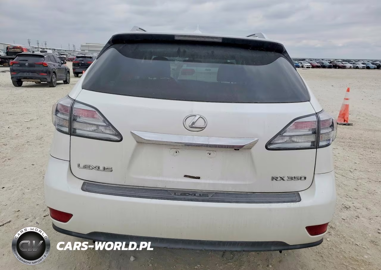 2010 Lexus Rx 350 VIN:JTJZK1BA5A2408137 - 6