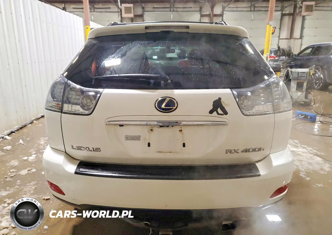2008 Lexus Rx 400H VIN:JTJHW31U982856592 - 6