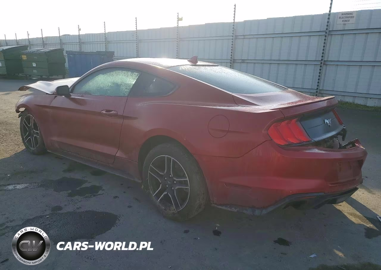 2021 Ford Mustang VIN:1FA6P8TH4M5128441 - 2