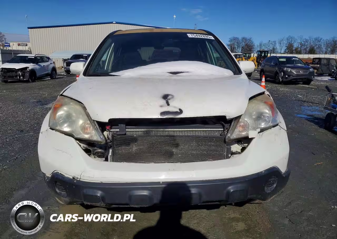 2008 Honda Cr-V Exl VIN:5J6RE487X8L048157 - 5