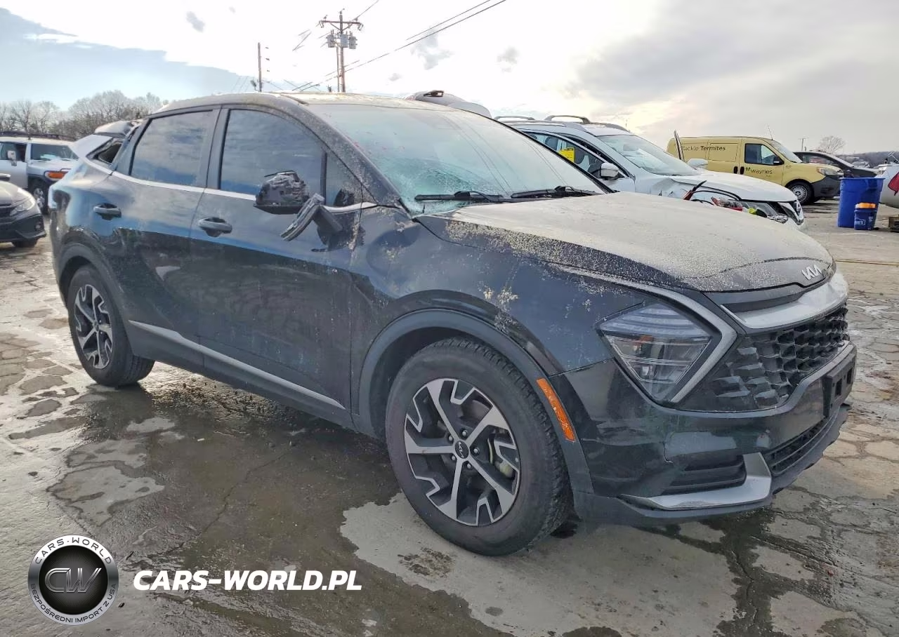 2024 Kia Sportage Ex VIN:5XYK33DF4RG142083 - 4