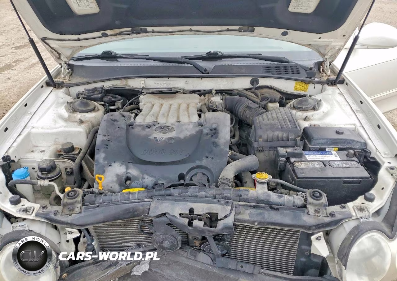 2004 Hyundai Sonata Gls VIN:KMHWF35H24A058292 - 11