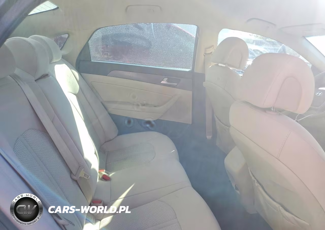 2016 Hyundai Sonata Sport VIN:5NPE34AF3GH411218 - 10