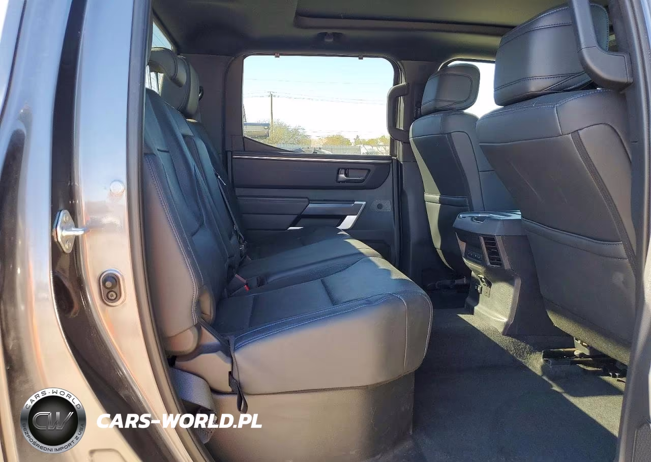 2025 Toyota Tundra Platinum VIN:5TFWA5DB2SX247000 - 10