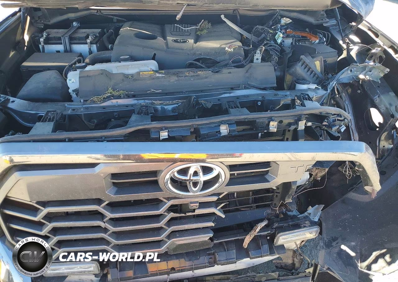 2025 Toyota Tundra Platinum VIN:5TFWA5DB2SX247000 - 11