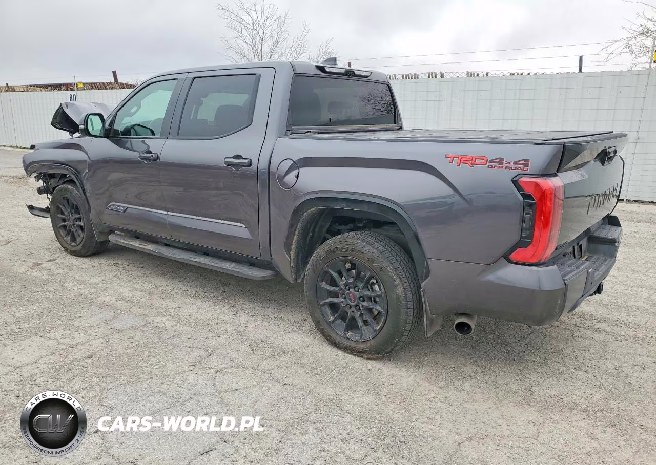 2025 Toyota Tundra Platinum VIN:5TFWA5DB2SX247000 - 2