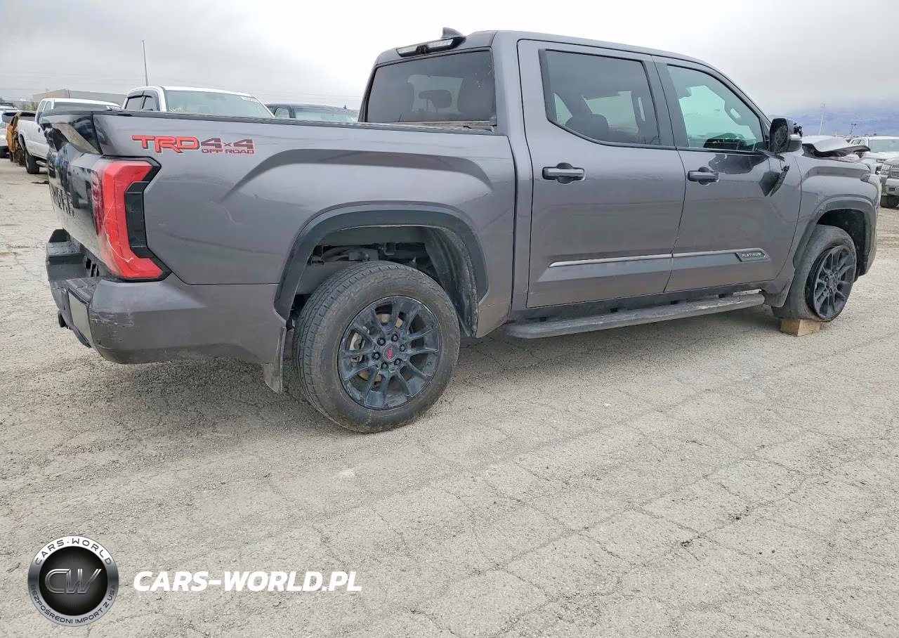 2025 Toyota Tundra Platinum VIN:5TFWA5DB2SX247000 - 3
