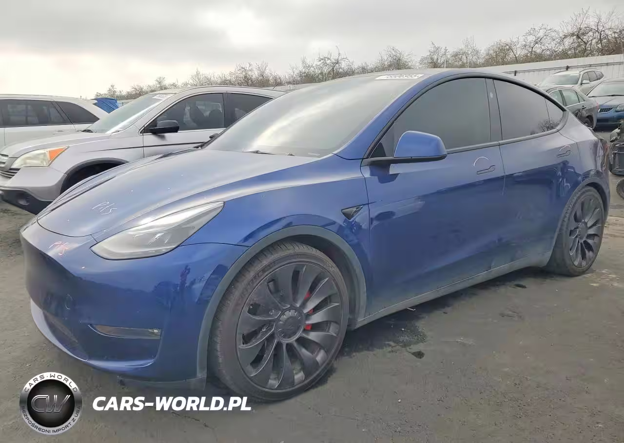 2024 Tesla Model Y
