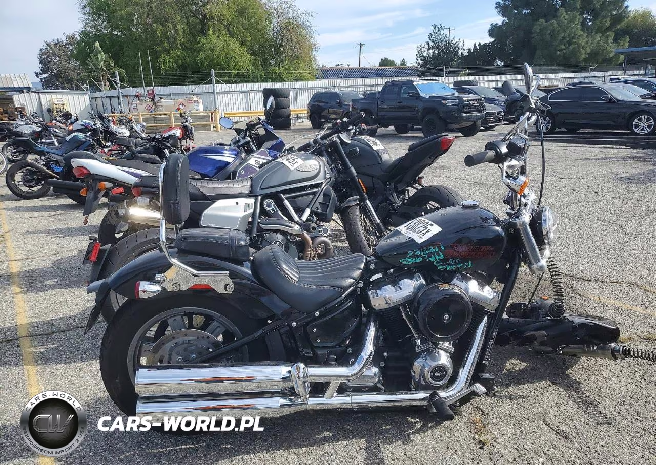 2024 Harley-Davidson Fxst