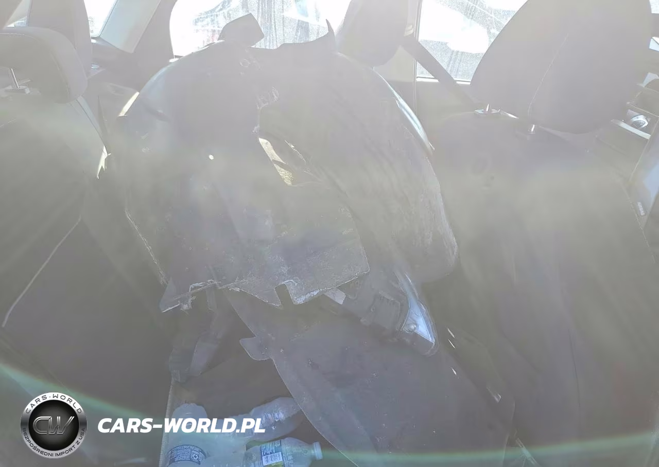 2014 Ford Focus Se VIN:1FADP3F25EL193619 - 10