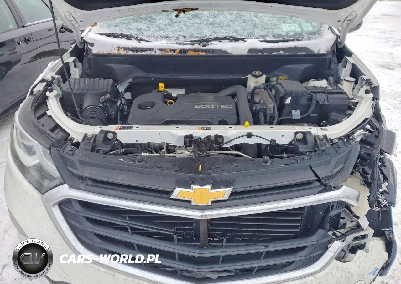 2020 Chevrolet Equinox Ls VIN:2GNAXSEV6L6122719 - 12