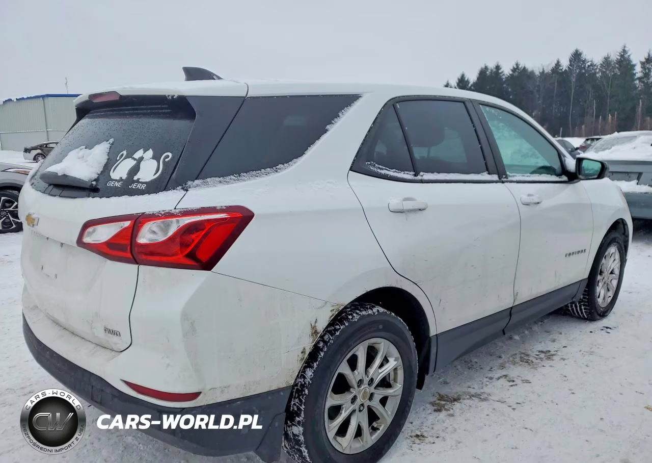 2020 Chevrolet Equinox Ls VIN:2GNAXSEV6L6122719 - 3