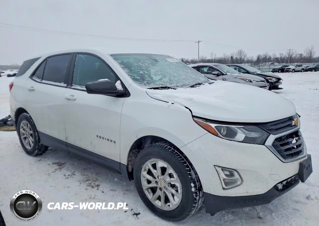 2020 Chevrolet Equinox Ls VIN:2GNAXSEV6L6122719 - 4