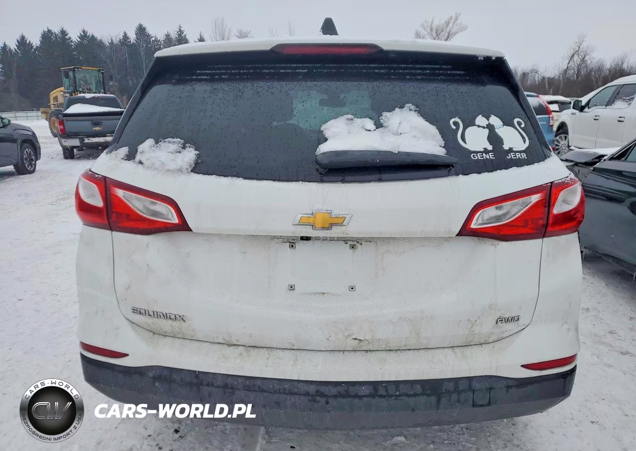 2020 Chevrolet Equinox Ls VIN:2GNAXSEV6L6122719 - 6