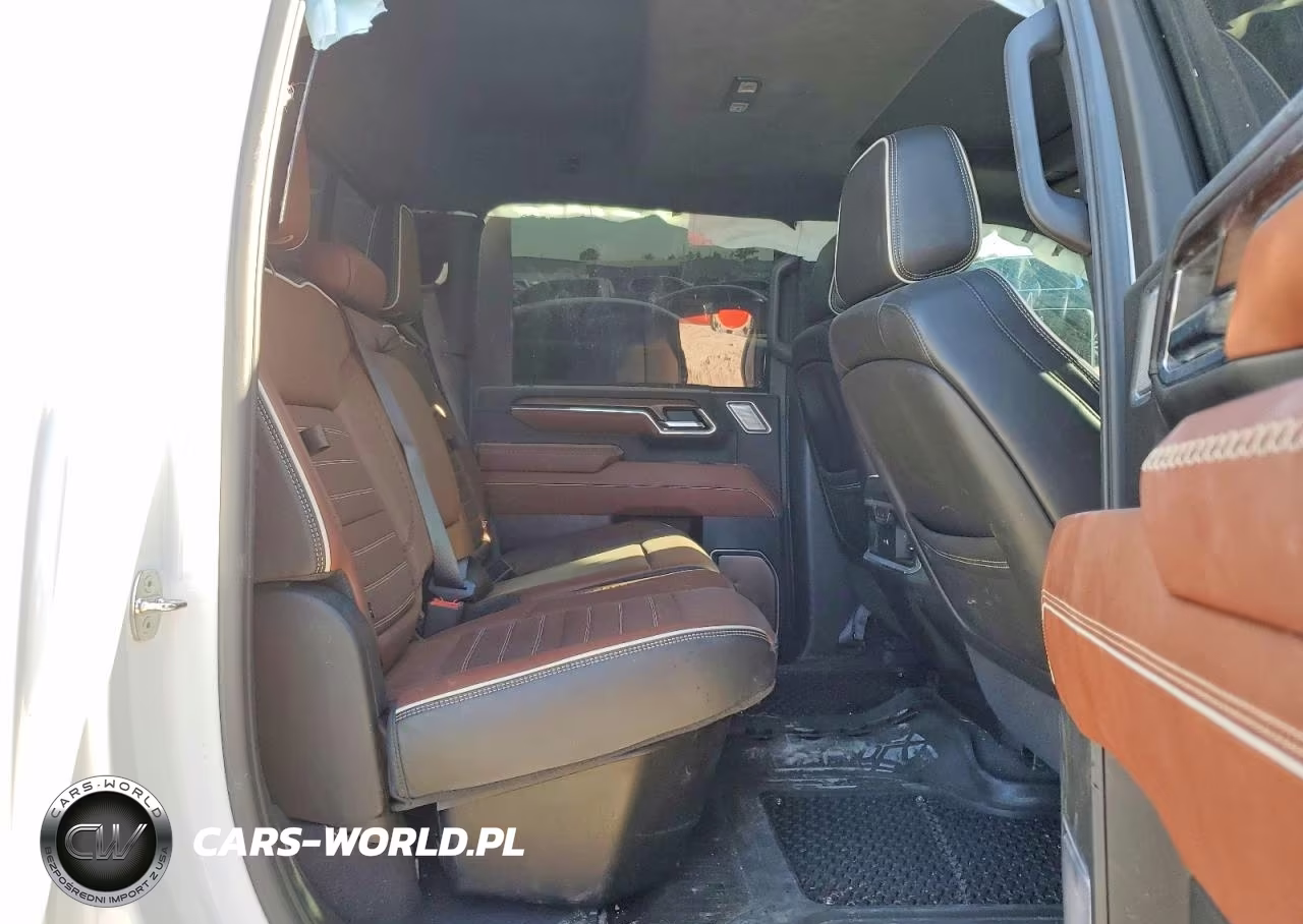 2024 GMC Sierra K2500 Denali Ultimate VIN:1GT49XEY5RF219805 - 10